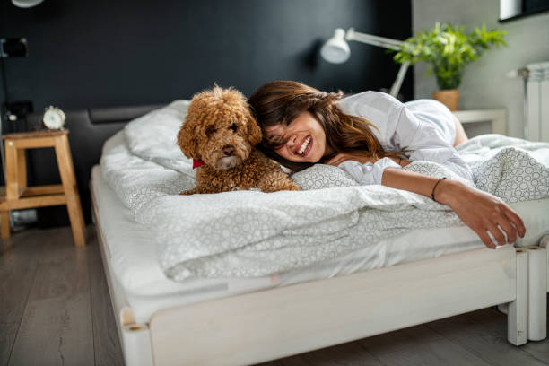 Luxury Pet-Friendly Accommodation in Margaret River