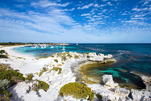 Discover Paradise: Rottnest Island Travel Review | Australia Travel