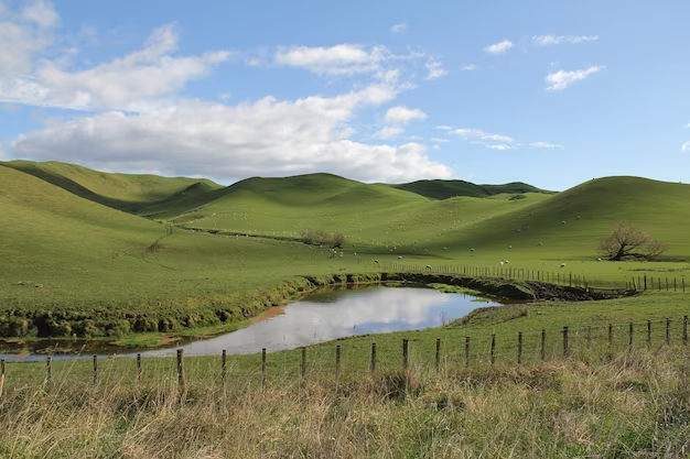 Discover the Enchanting Southern Highlands: A Perfect Escape from Sydney