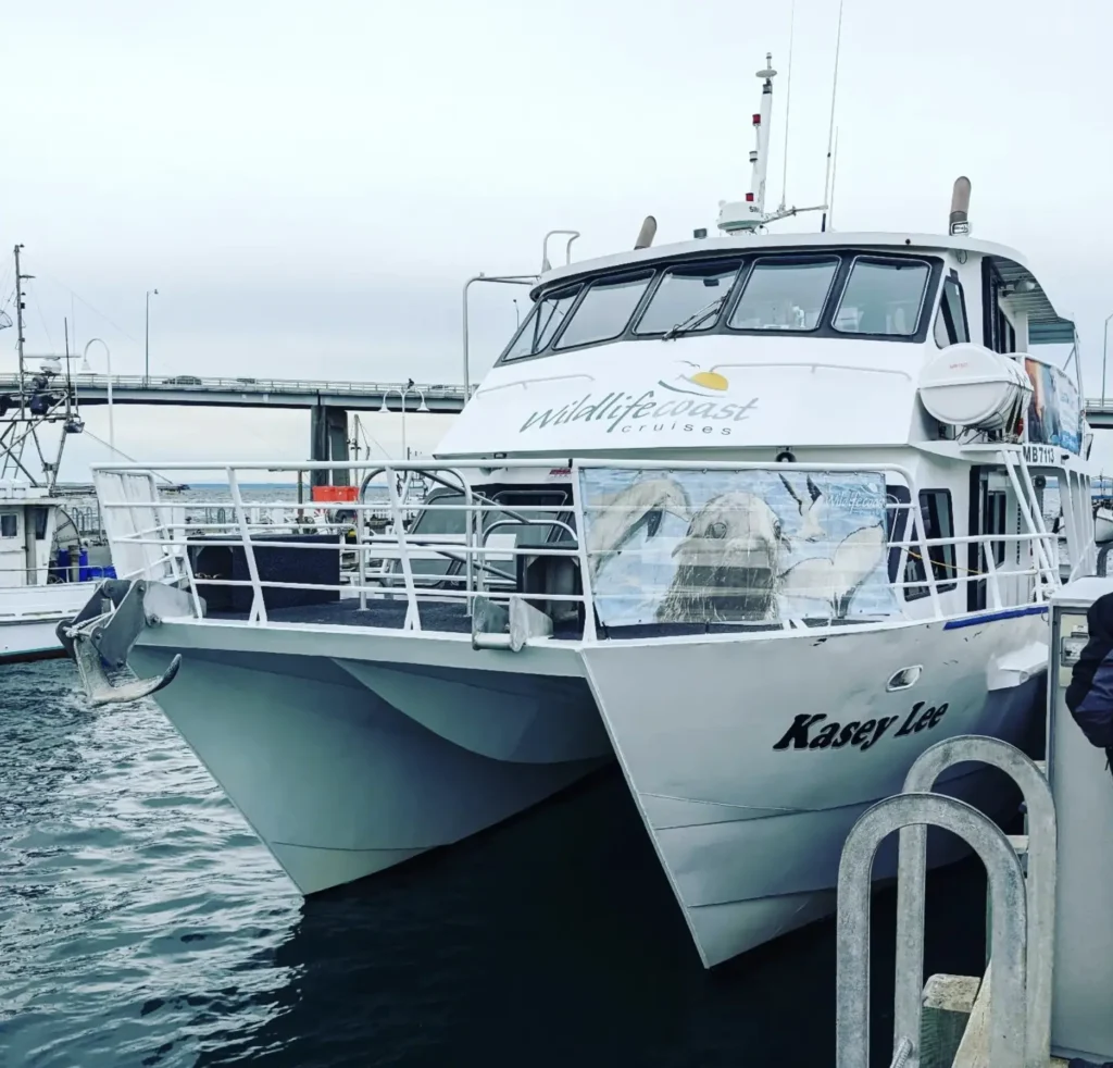 Wildlife Coast Cruises