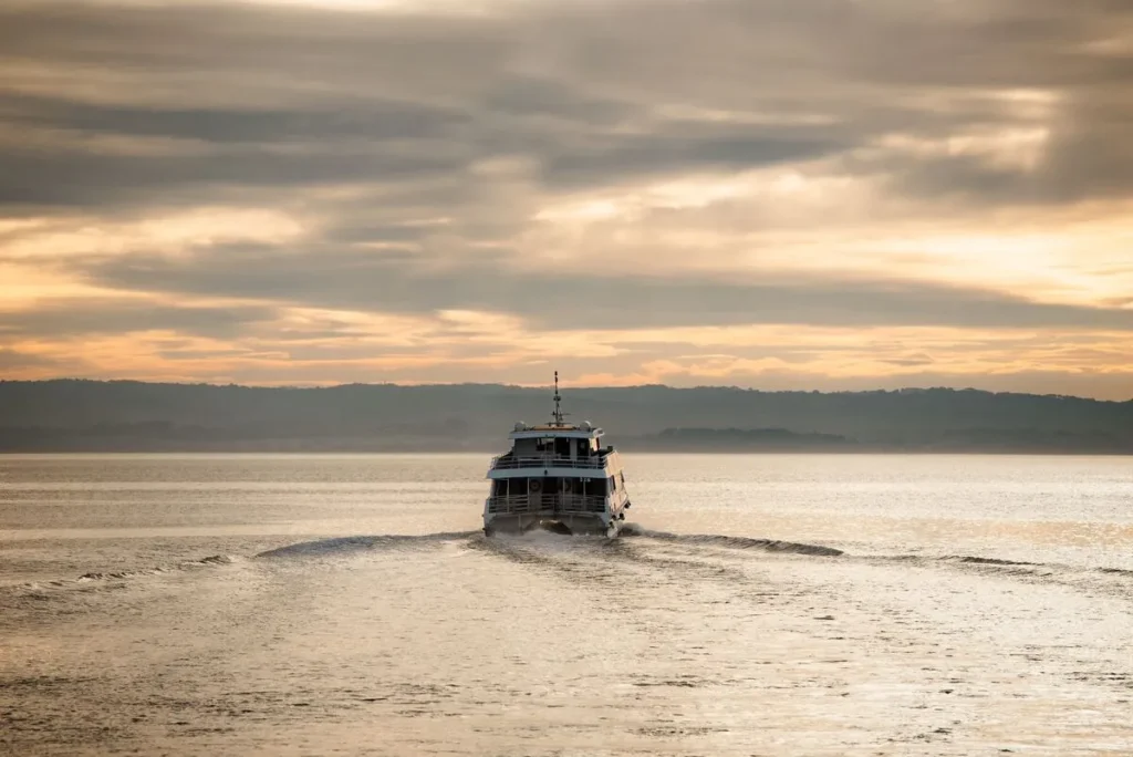 The Wildlife Coast Cruises